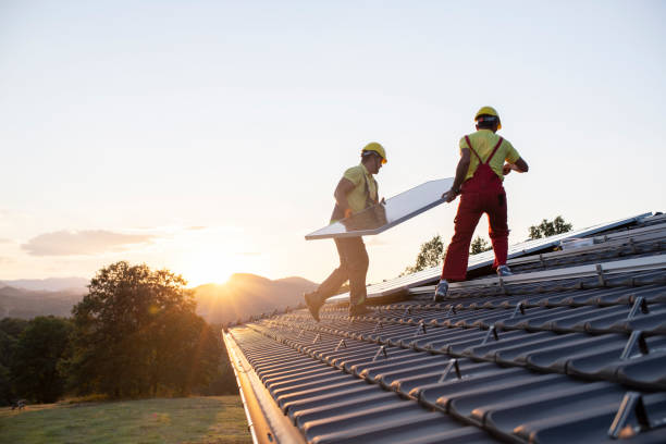 Best Metal Roofing Installation  in Johnston City, IL