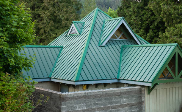 Best Roof Moss and Algae Removal  in Johnston City, IL