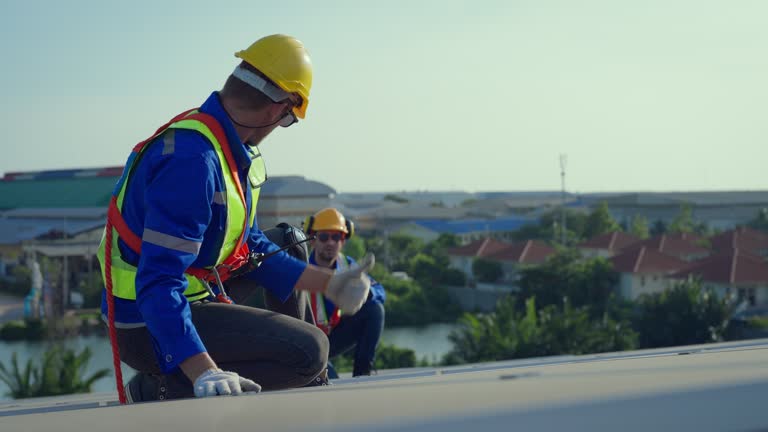 Best Skylight Installation and Repair  in Johnston City, IL