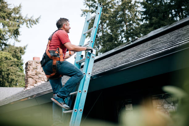 Best Solar Panel Roofing Installation  in Johnston City, IL