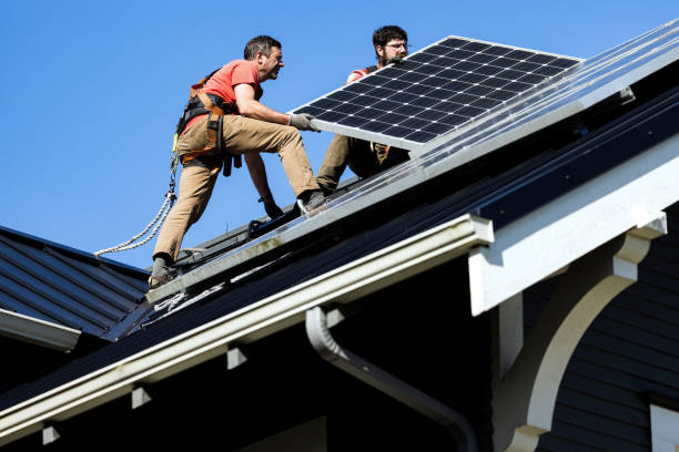 Best Roof Leak Repair  in Johnston City, IL