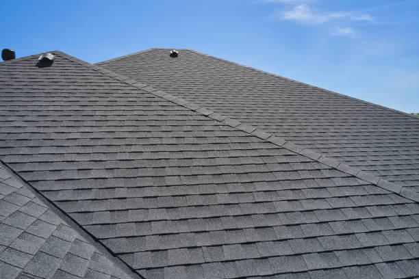 Best Roof Maintenance and Cleaning  in Johnston City, IL