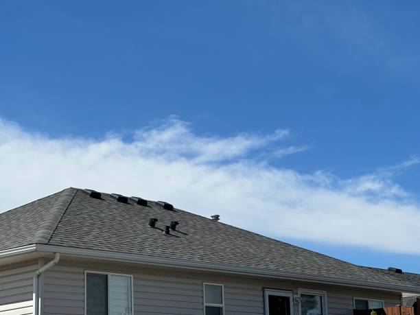 Best 4 Ply Roofing  in Johnston City, IL