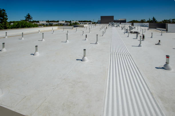 Best Flat Roofing  in Johnston City, IL